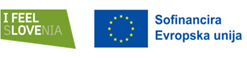Logo eu